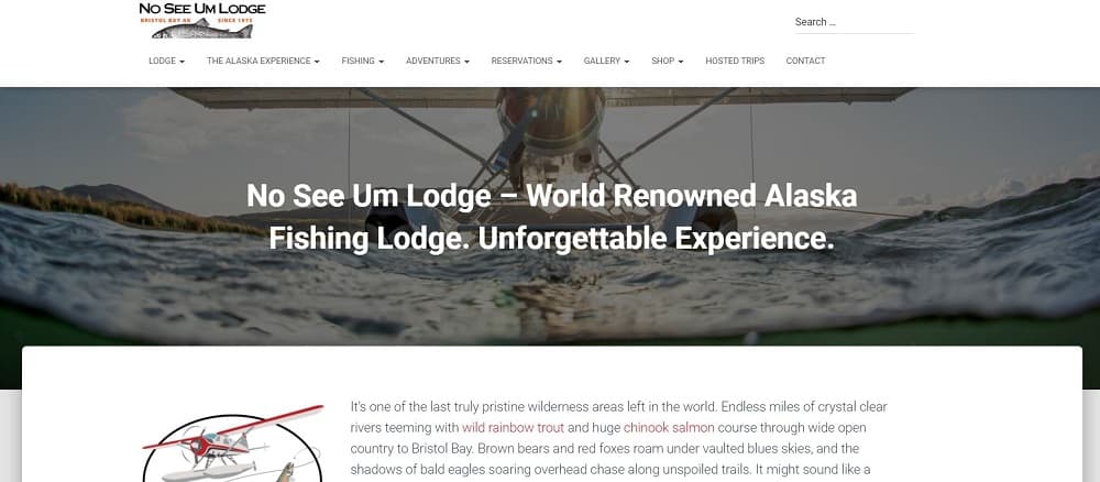 This is a screenshot of the homepage of the No See Um Lodge.