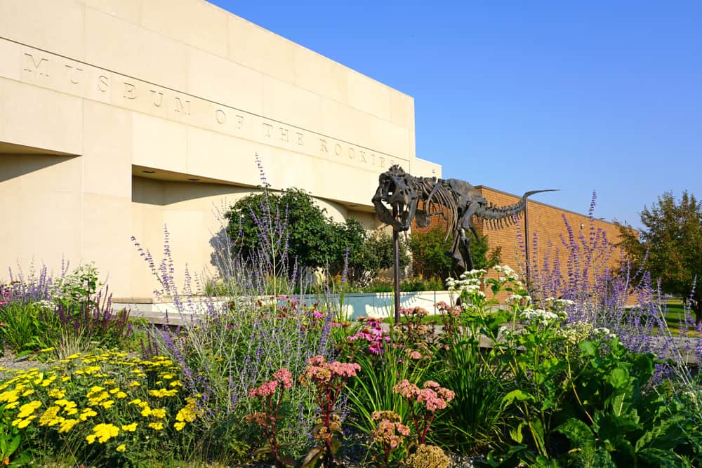 Museum of the Rockies on the campus of Montana State University (MSU) in Bozeman.