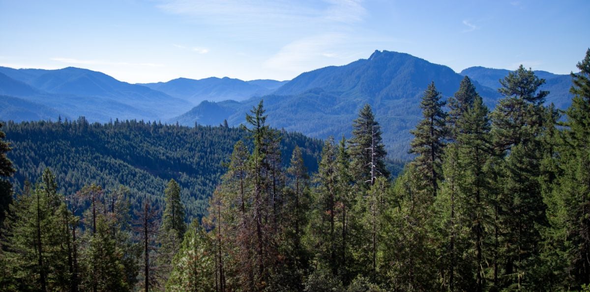 Cascade Mountains at Oakridge, Oregon.