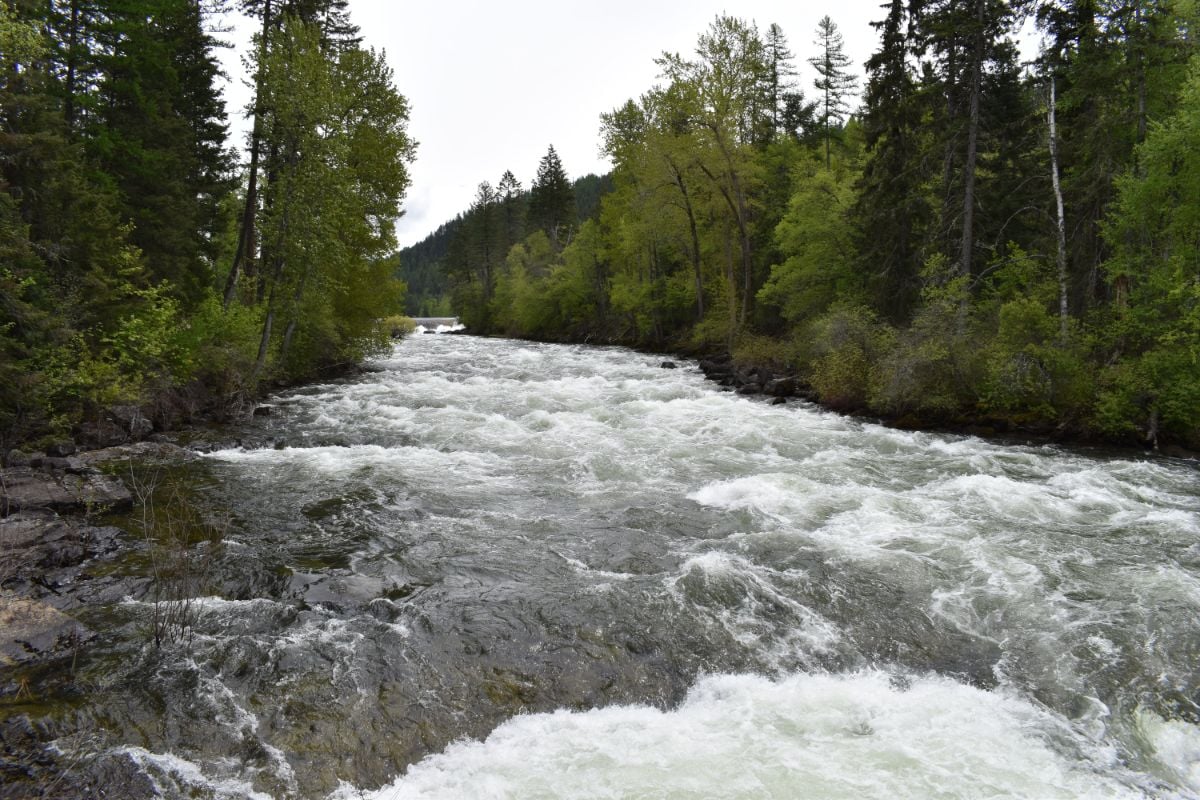 A Big Fork river at Bigfork Montana.