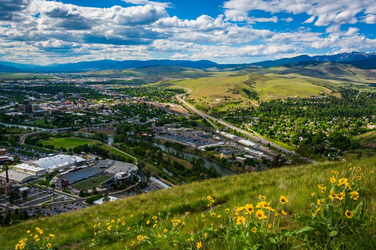 Small flowers and small town at Missoula, Montana.