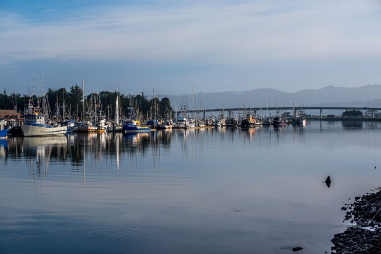 A dock with small boats at Eureka, California.