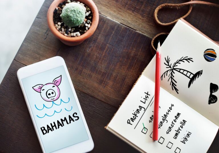 A smartphone and succulent plant in the table.