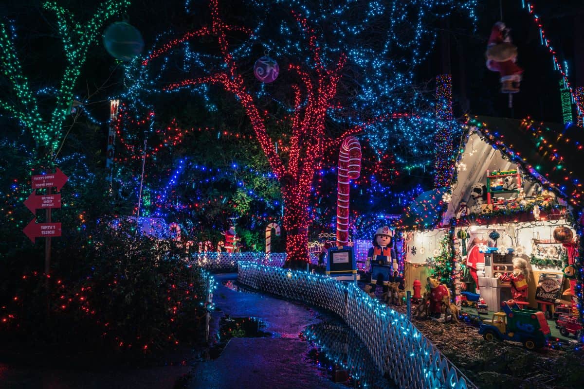 Christmas lights decorations at Stanley park,Vancouver Canada.