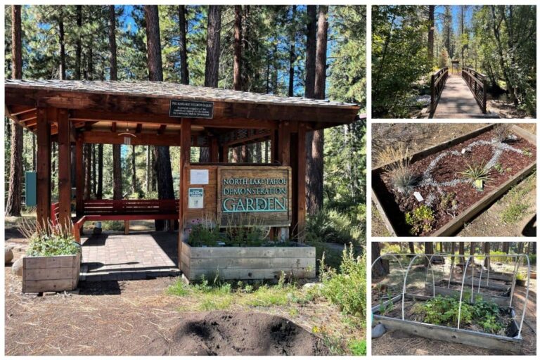 3 photo collage of the north tahoe demonstration garden in nevada