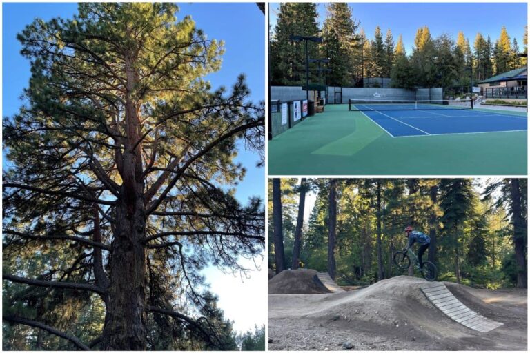 3 photo collage of images of incline recreation center and park