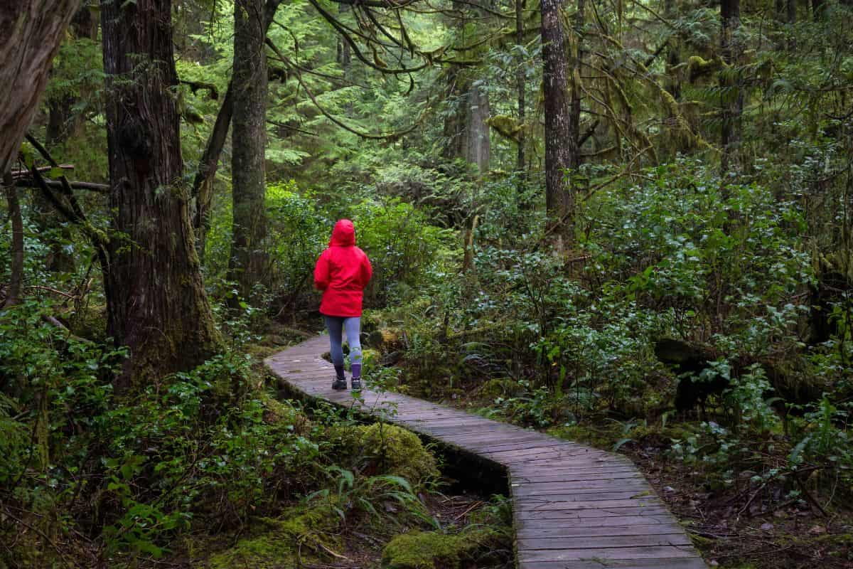 woman wearing a raincoat walking down a boardwalk in the temperate rainforest as it lightly rains