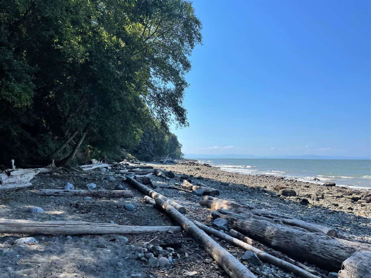 Wreck Beach In Vancouver Everything You Need To Know Wreck Beach Ubc ...