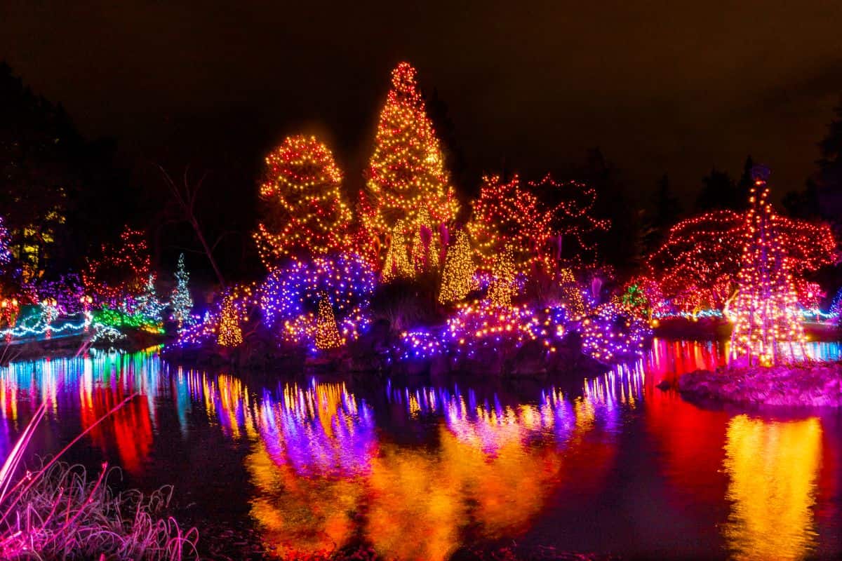 van dusen botenical garden in vancouver lit up with christmas lights at night