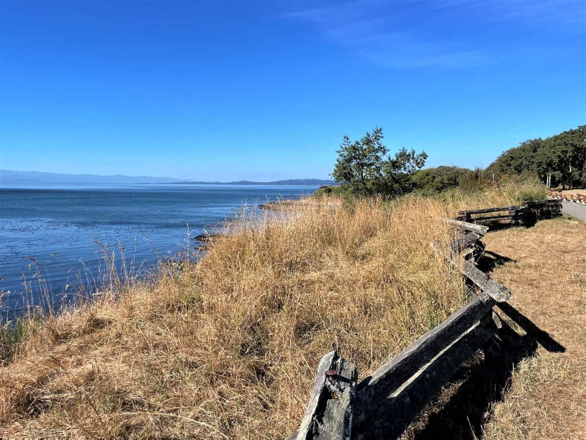 ocean view from dallas rd waterfront trail in victoria