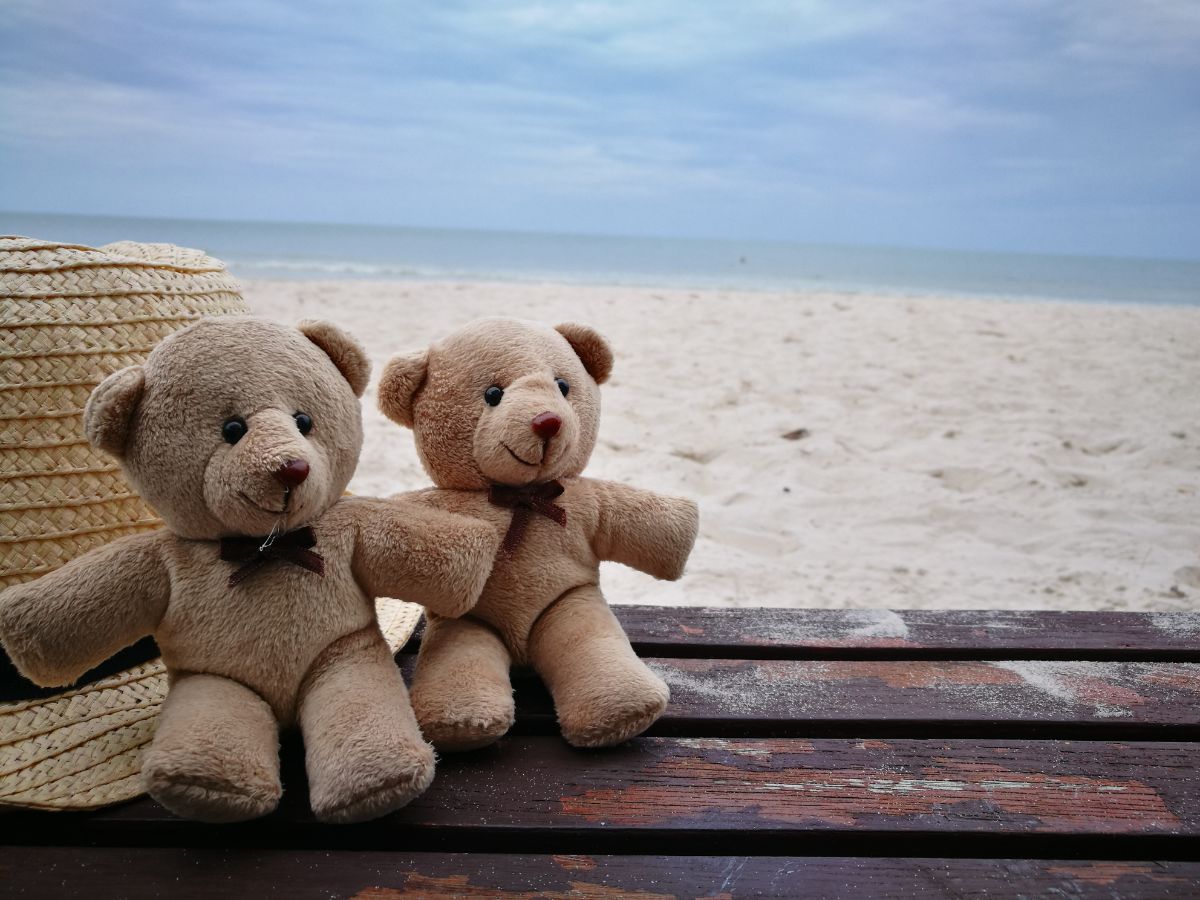 Two stuffed bears sitting on a dock on a lake