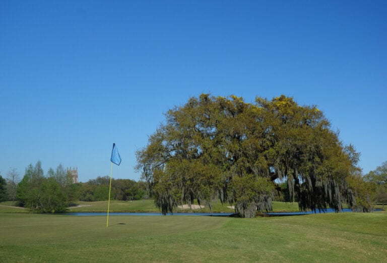 20 of the Best Golf Courses in Louisiana for Retirees in 2025