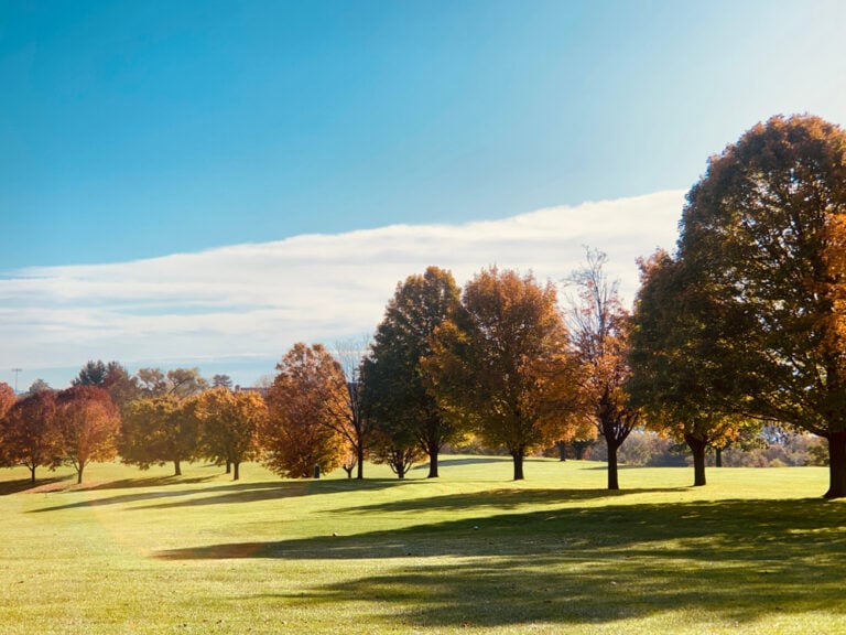 20 of the Best Budget-Friendly Golf Courses in Iowa in 2025