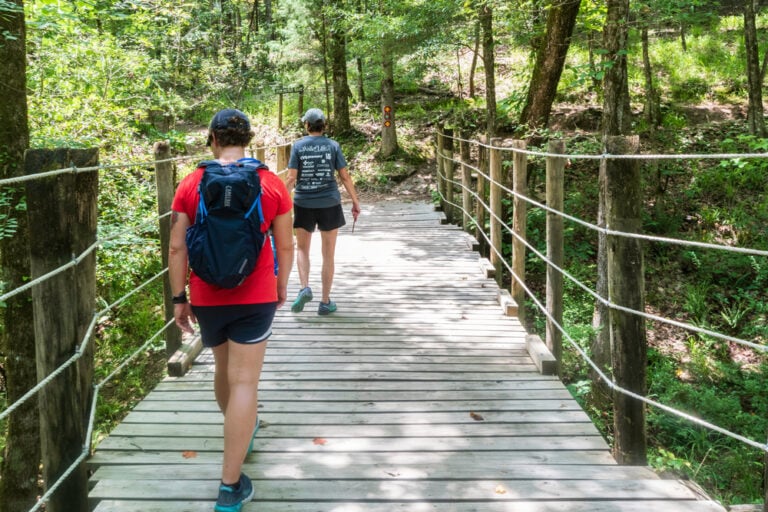 20 of the Most Overlooked Hiking Trails in Alabama in 2025