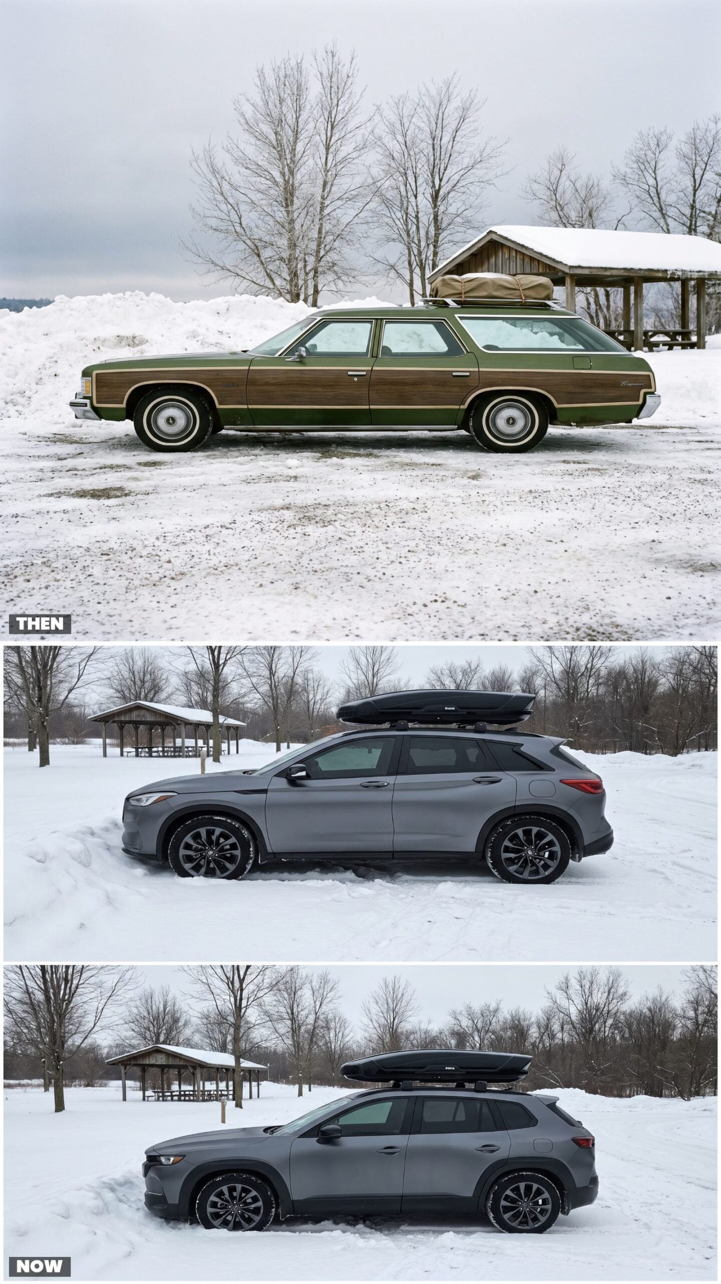 Earth-Tone Paint vs. Monochrome Finishes