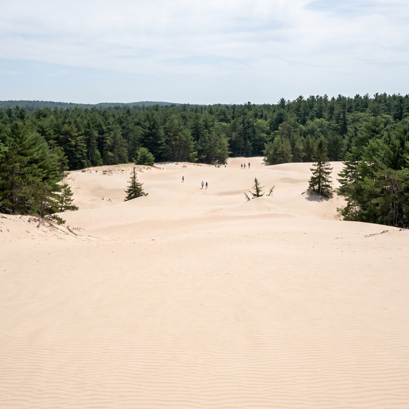 The Desert of Maine, a Sea of Sand in the Middle of the Woods