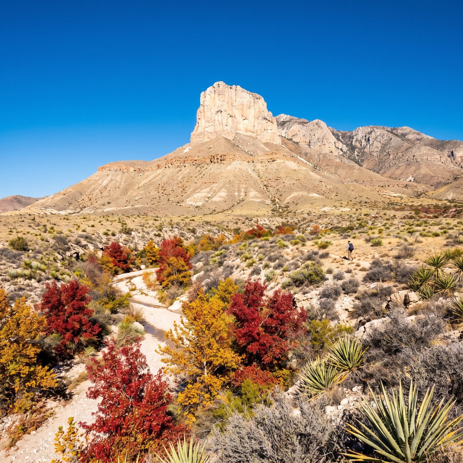 Guadalupe Mountains National Park, A Quiet Climb to the Roof of Texas