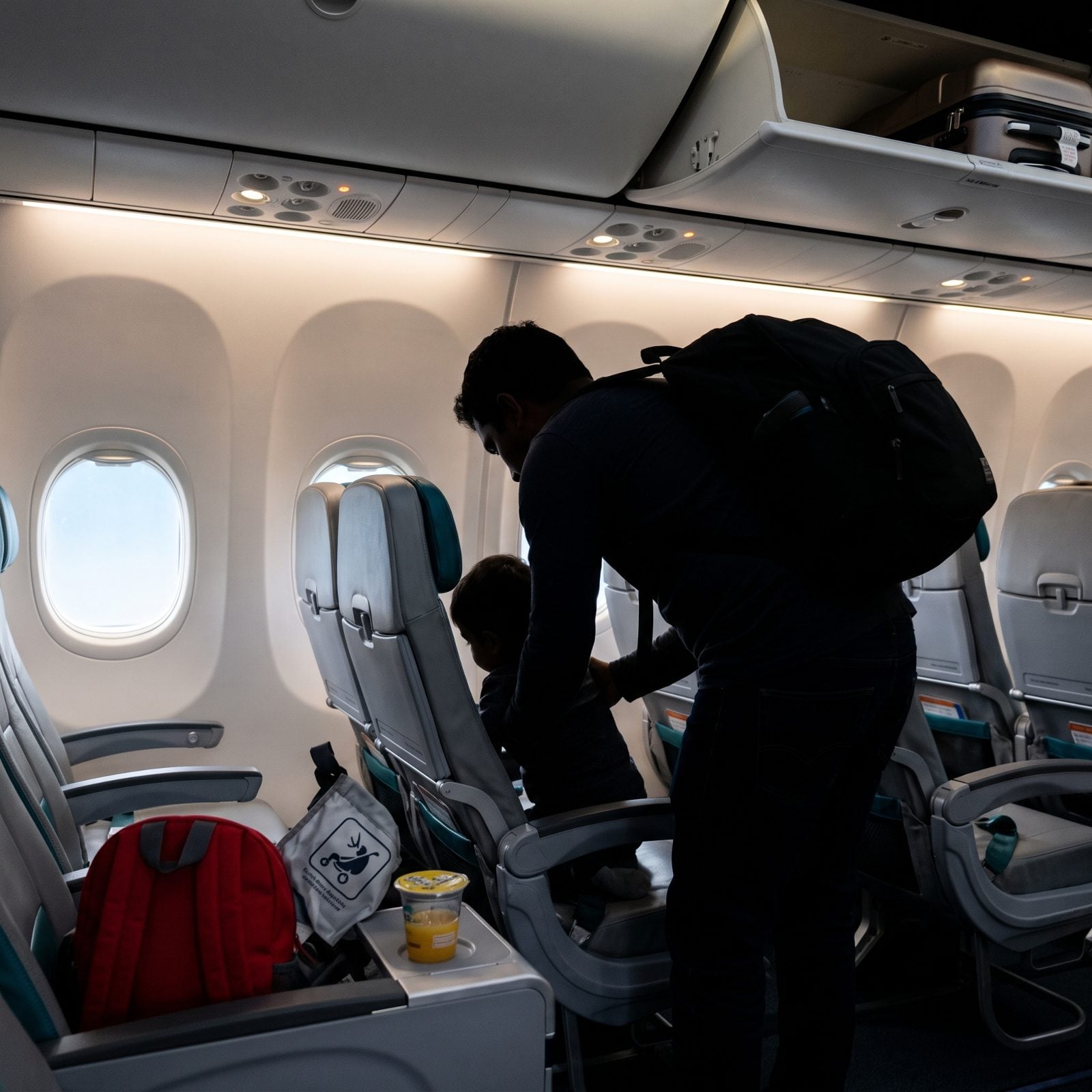 If You Are Traveling With Young Children