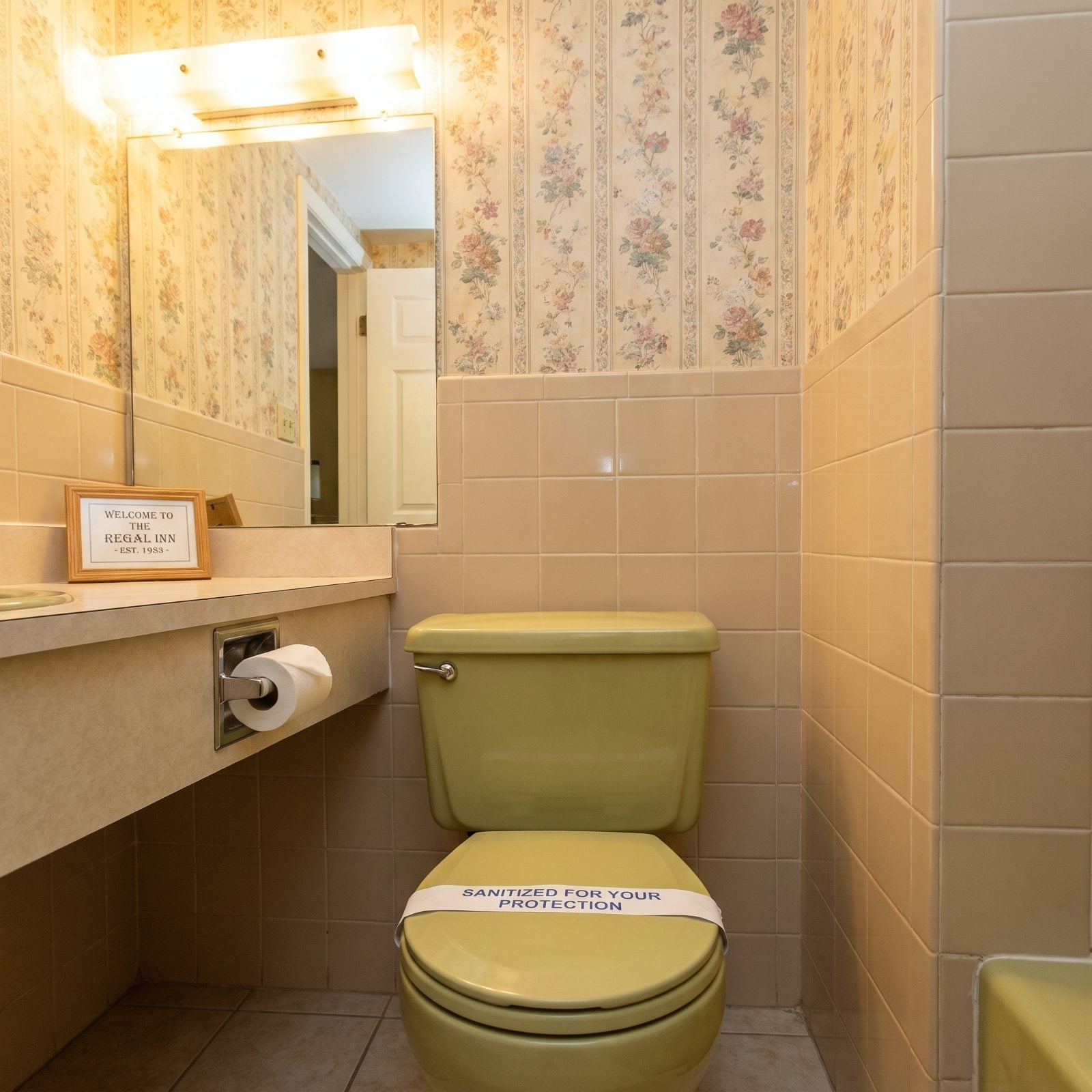 The Sanitized Paper Band Stretched Across the Toilet Seat