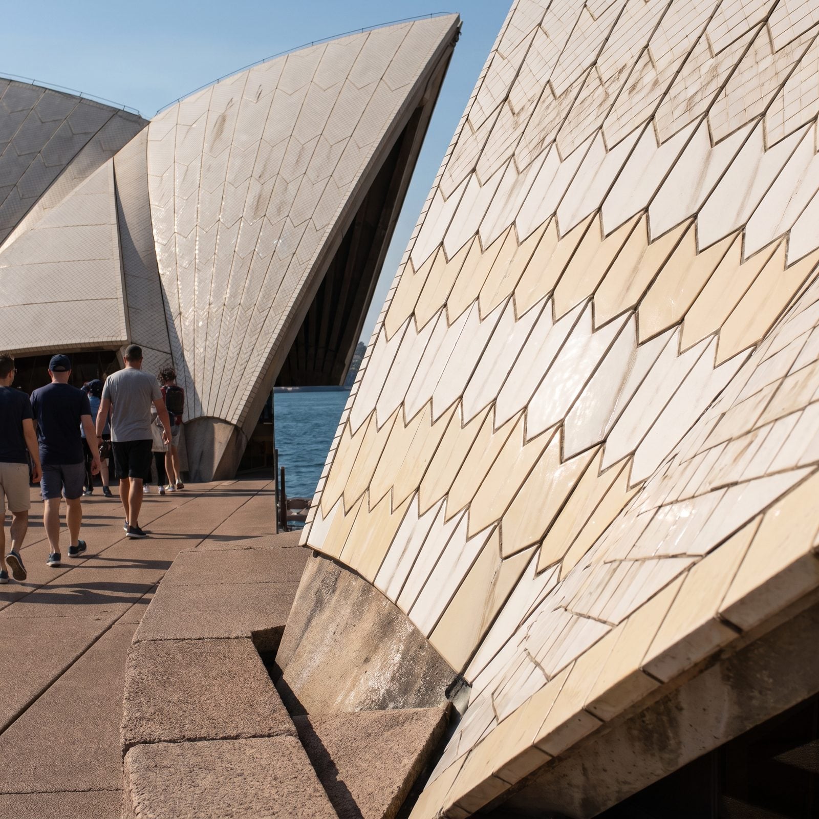 The Sydney Opera House Roof Is Cream Tile Rather Than Bright White