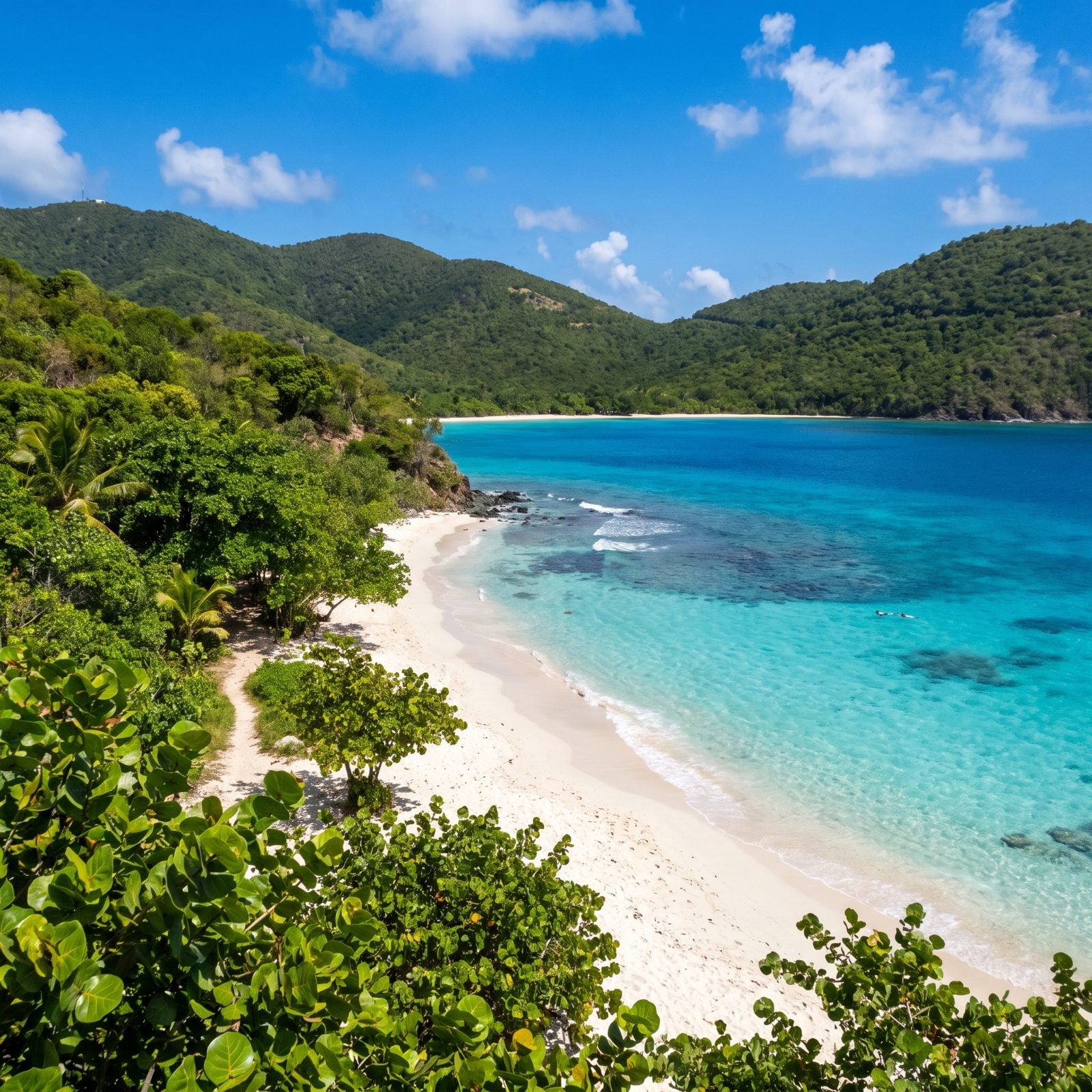 Virgin Islands National Park, St. John: Forest Trails Leading to Secluded Caribbean Coves
