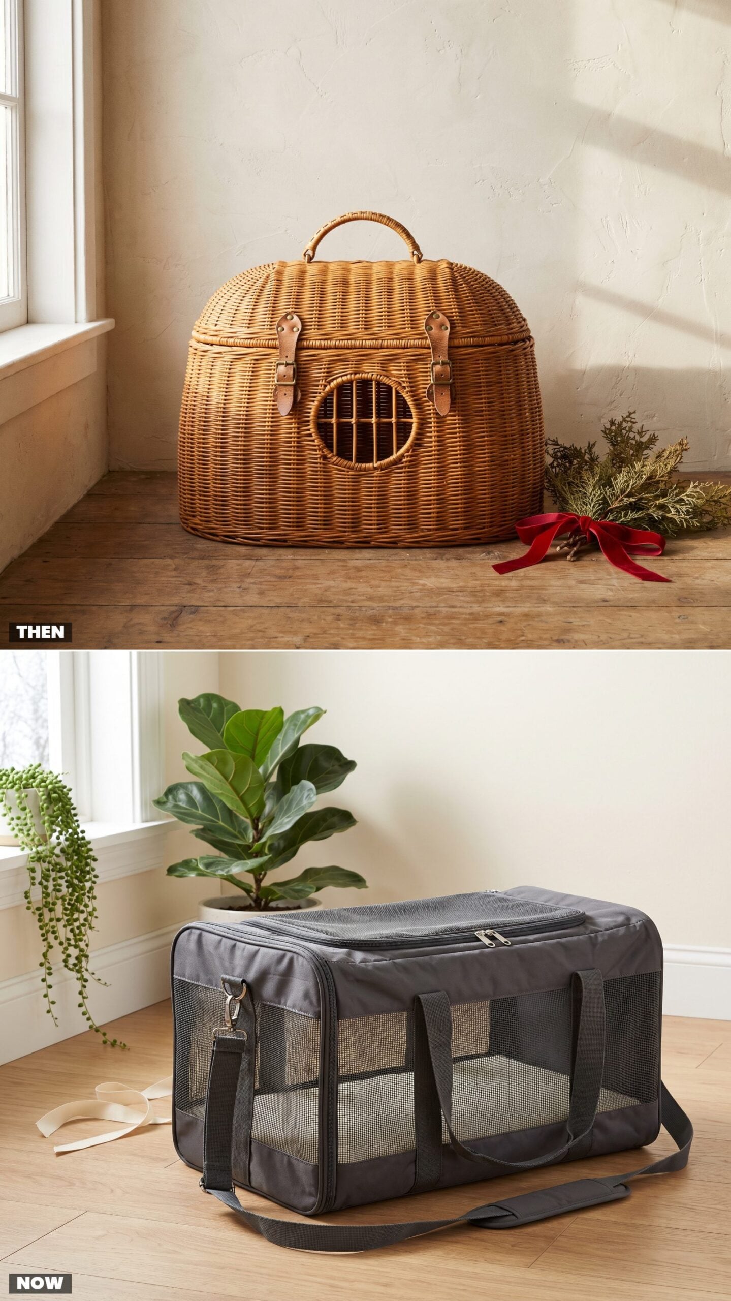 The Wicker Pet Carrier vs. the Airline-Compliant Soft Carrier
